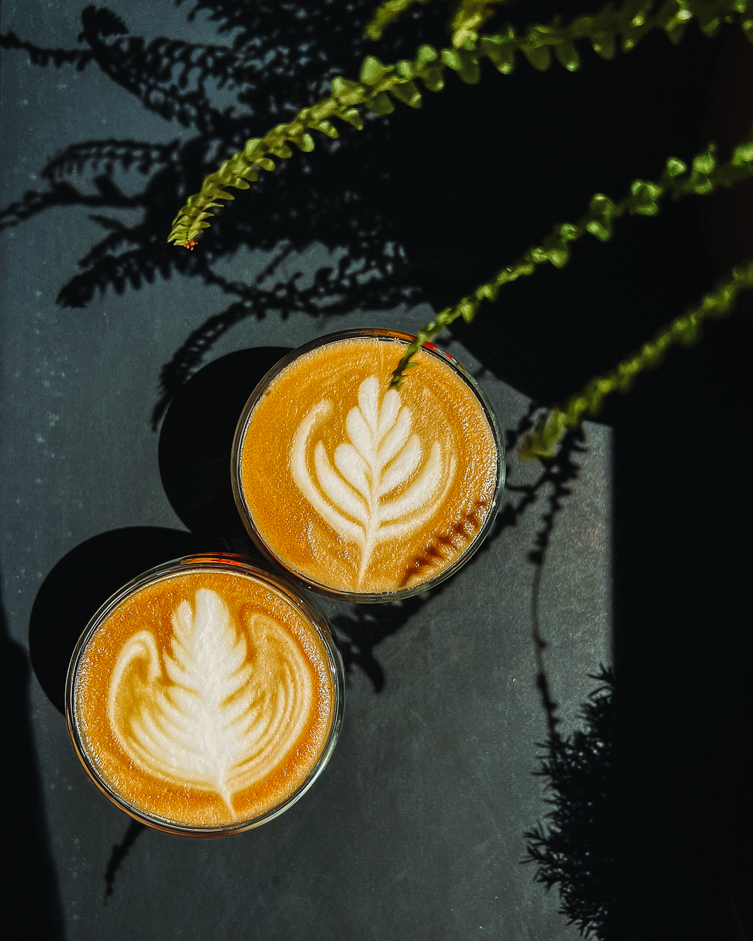 Rosettas and Tulips - How to Pour Two Classic Latte Art Designs
